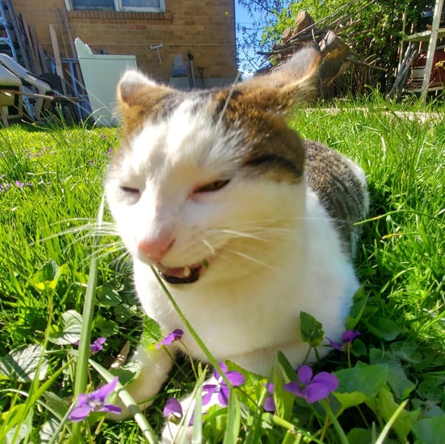 Day 13: Lessons Learned