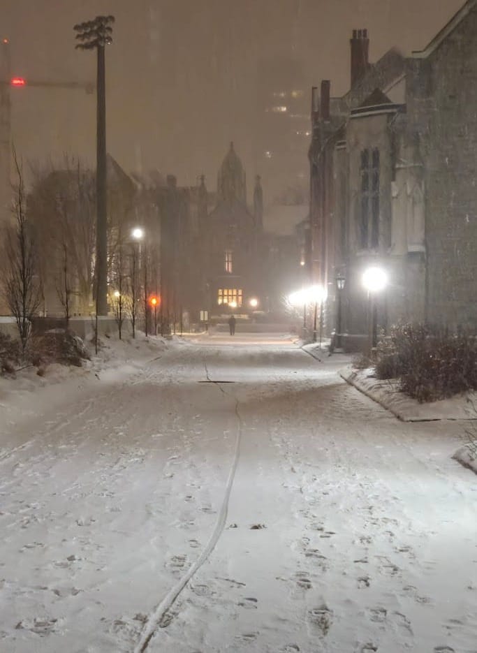 Day 12: Reparenting Myself