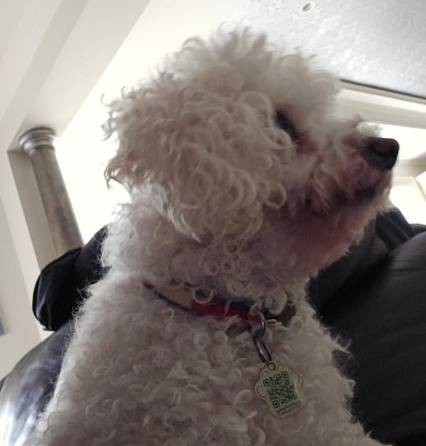 Day 10: The start of a new arc