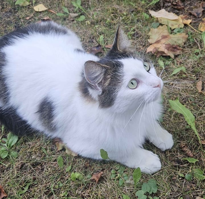 Day 20: Picking back up